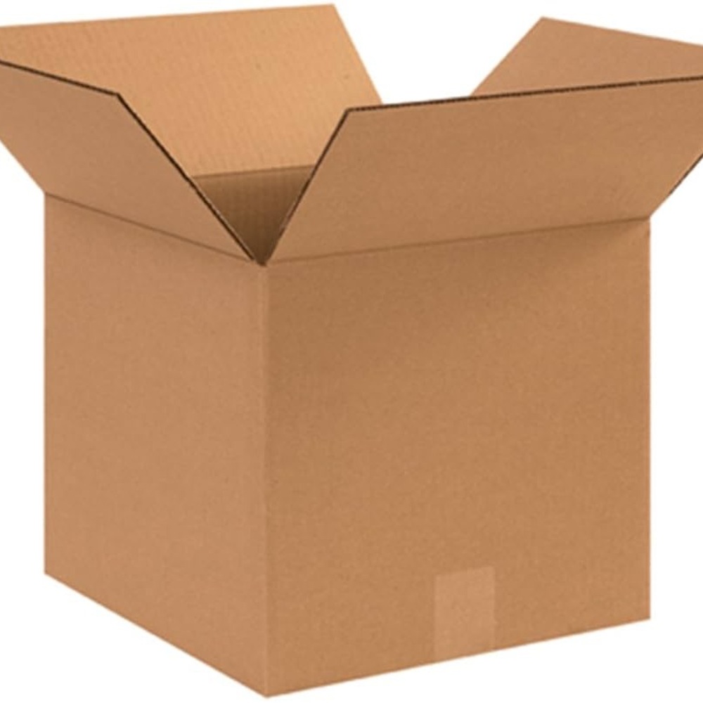 MYSTERY “DAYNA” BOX